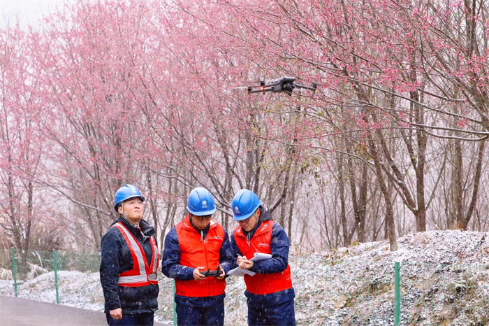 国网福建电力召开“旗帜领航•新时代红色堡垒”工程现场推进会(图3)