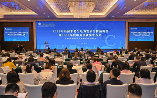 2024年经济形势与电力发展分析预测会在京成功举办(图1)